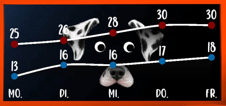 Wetterkurve Dark blue Love DOG orange 