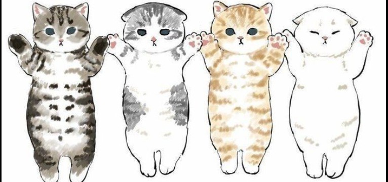 gatitos