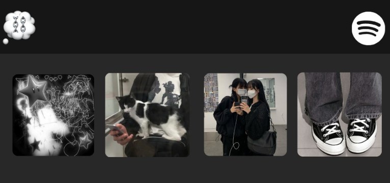 CAT GRLs