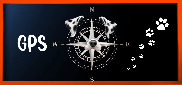 GPS Dark blue Love DOG orange 