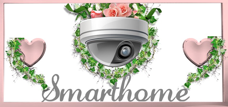 Smarthome 1 Efeuherz 