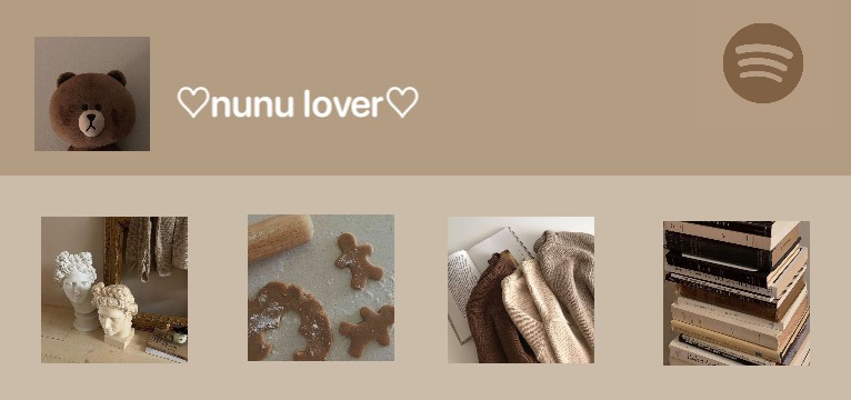 bear spotify aesthetic