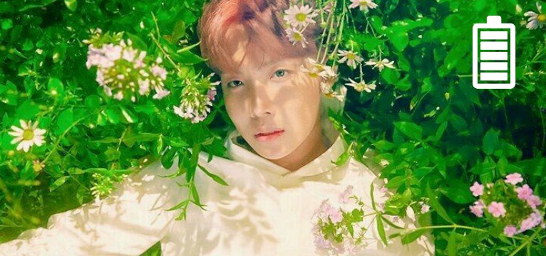 jung hoseok widget