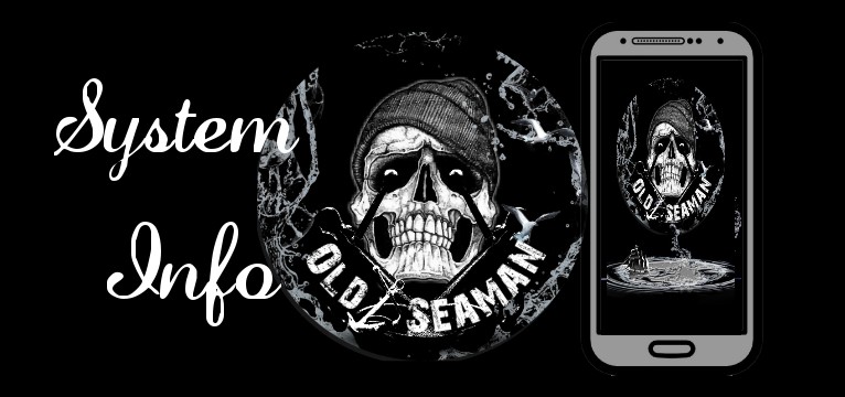System Info Old Seaman Skull 