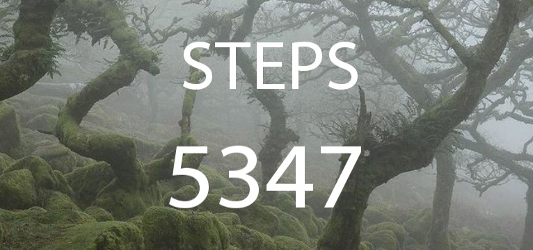 steps