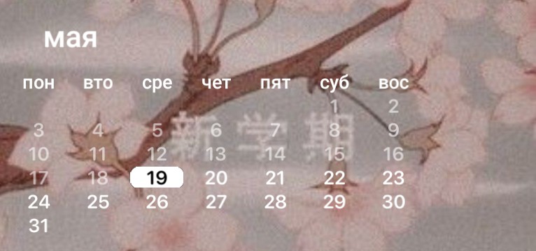 Widgets 