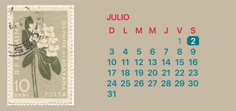 calendar 