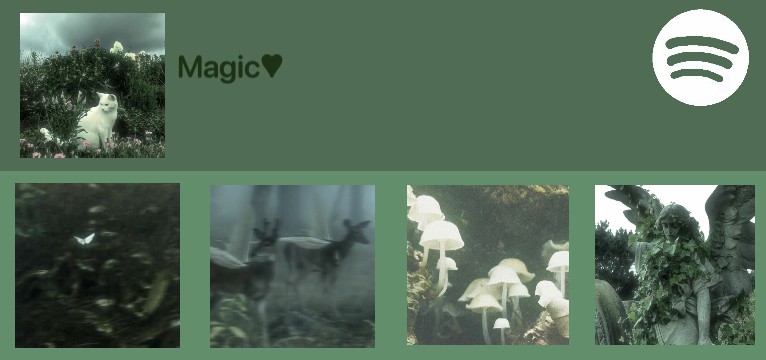spotify widget