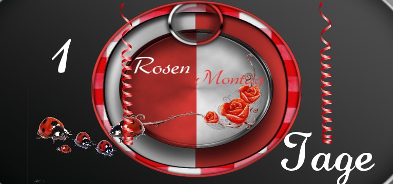Counter Rosenmontag 