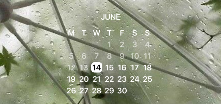 calendar with green background