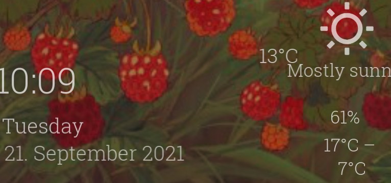 raspberries 