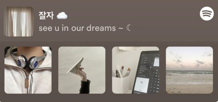 Brown Spotify 