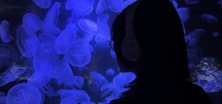 blueewigh