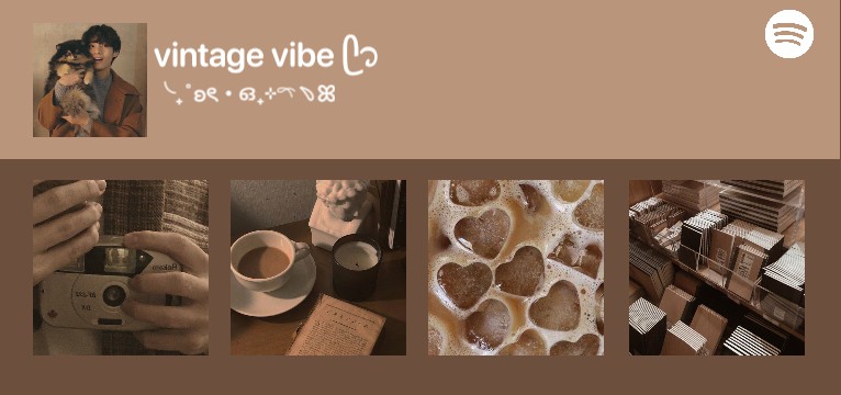 Brown Spotify 