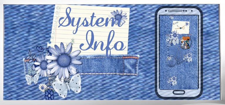 System Info Jeans 