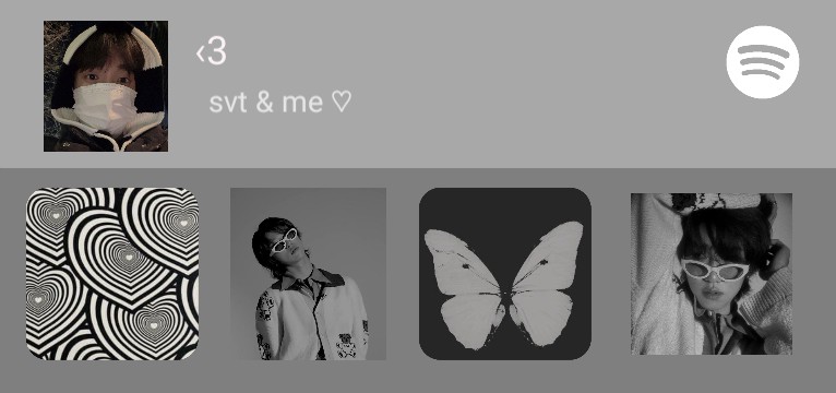 Spotify widget Copy