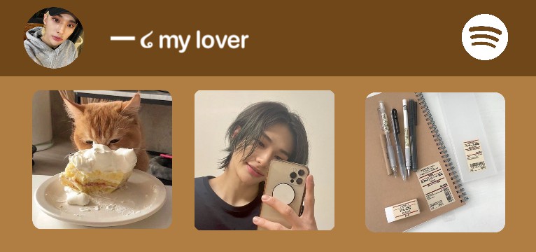 Spotify skz