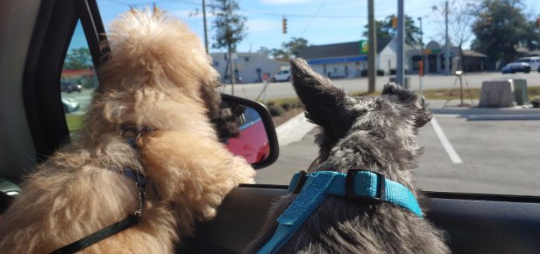 Mac and Mocha