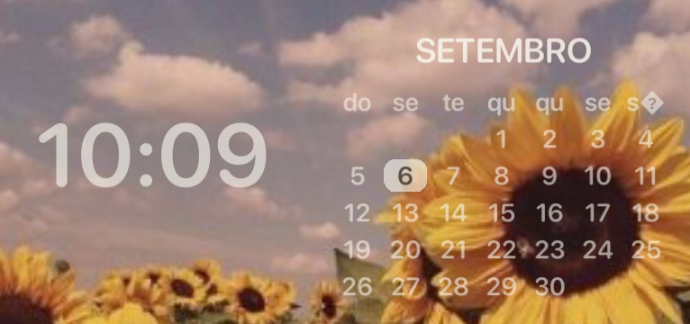  calendario girassol/ sunflower calendar
