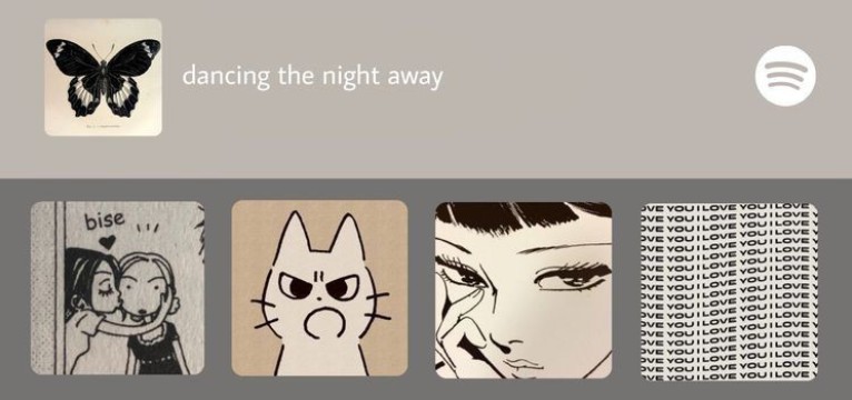 Spotify Widgets 