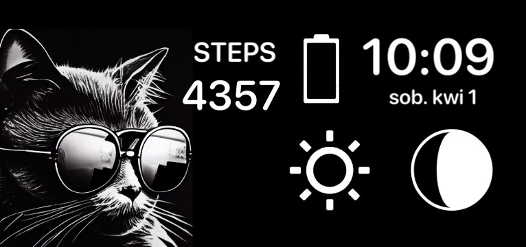  cat black-white