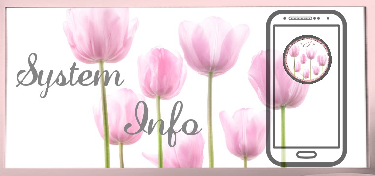System Tulpen Fruehling  