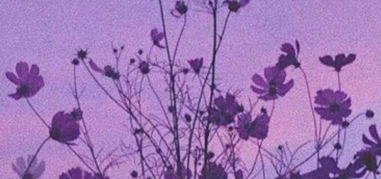 purple flowers
