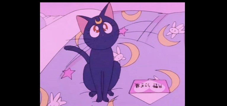 Sailor Moon Cat 