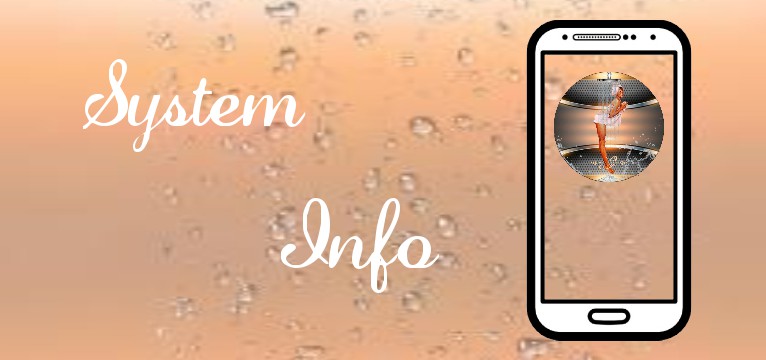 System Info Shower Pin Up 