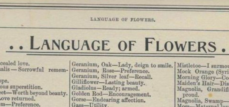 language of flowers header 