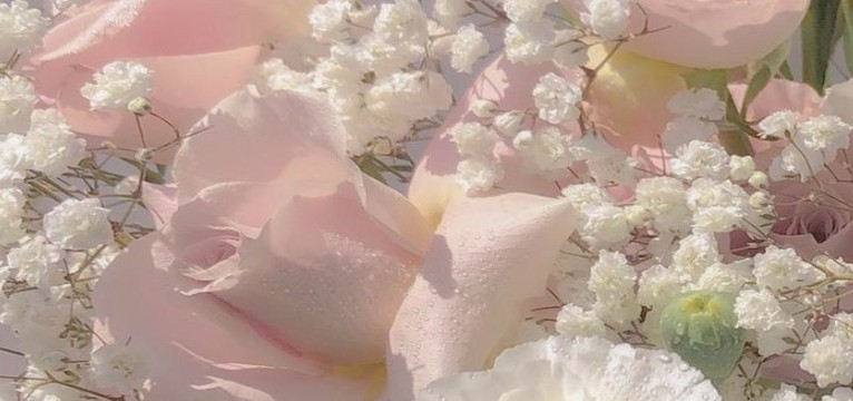 pink flowers