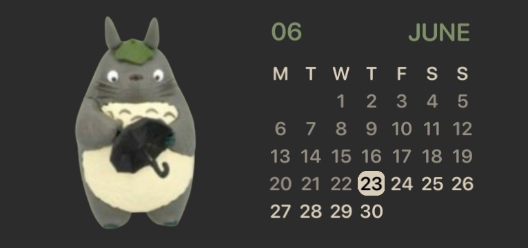 totoro theme --