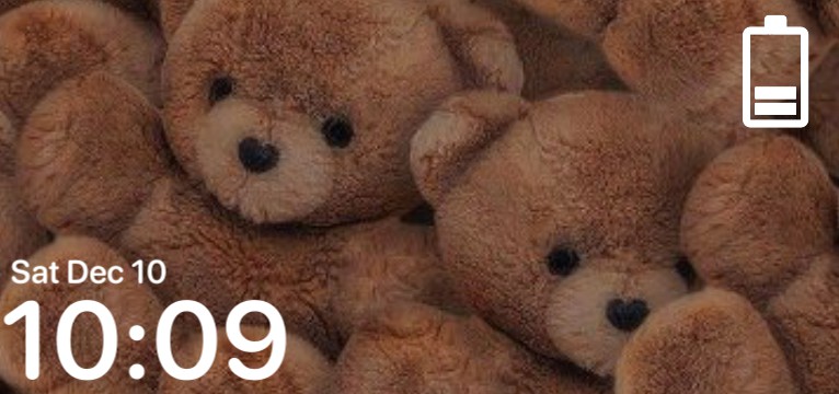 Bear