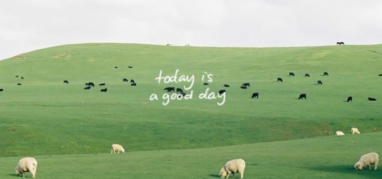 green photo widget