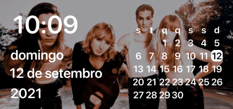 maneskin widget