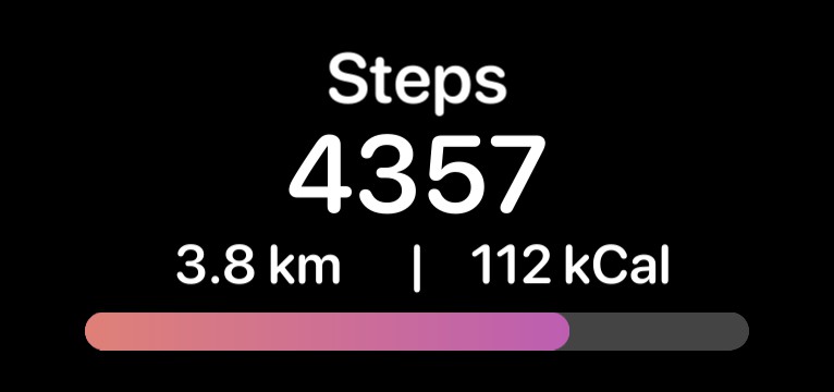 Step meter