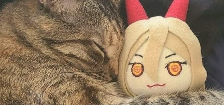 Cat with Power Plushie