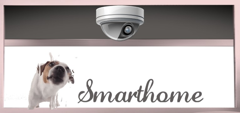 Smarthome Hund Schlecker Lecker 