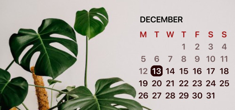Aesthetic Calender