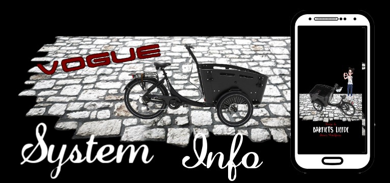 System Werbe Bakfiets black 