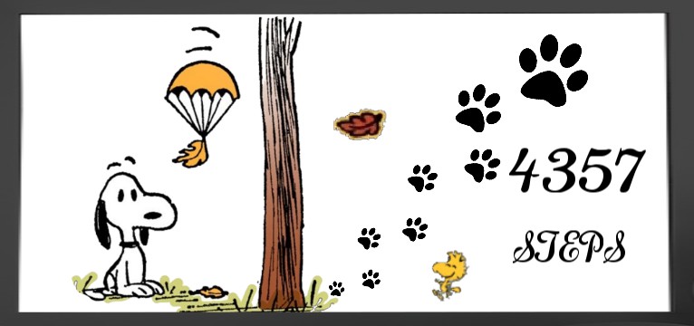 Step Snoopy Autumn 
