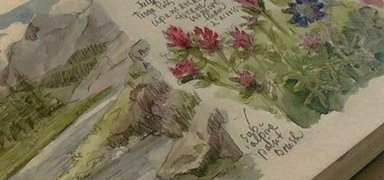 watercolourart02