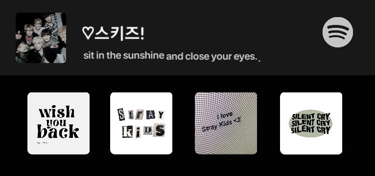 skz spotify black 
