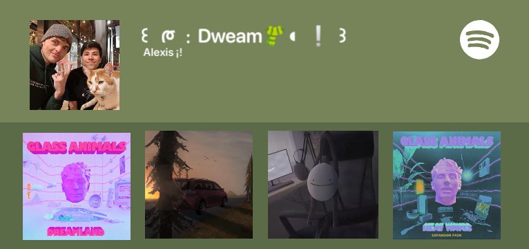 Dream Spotify