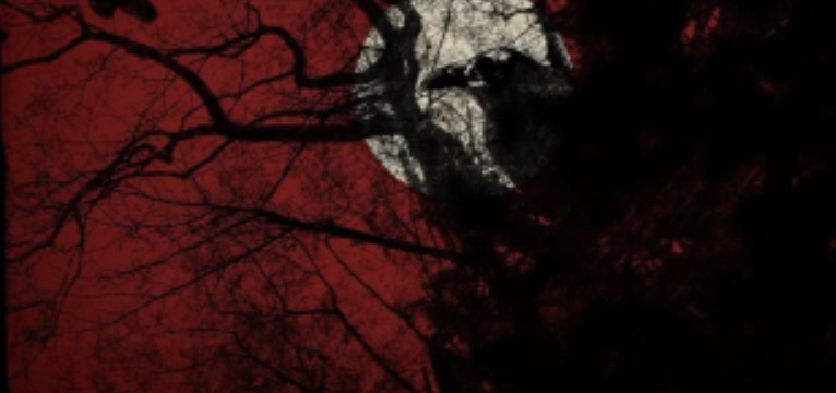 red night sky black trees