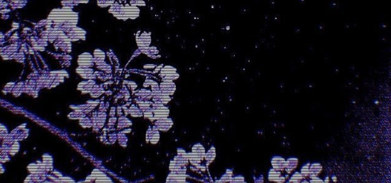purple aesthetic 