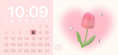 Pink tulip