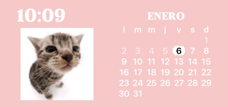calendario gatuno