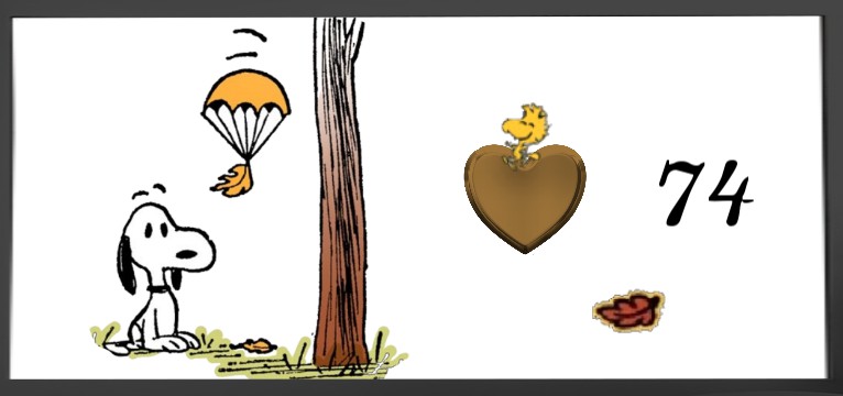 Herzschlag  Snoopy Autumn 
