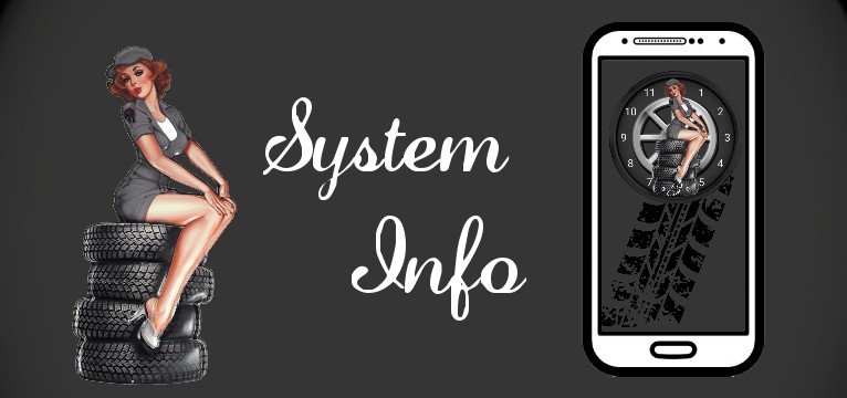 System Info Reifen Pin Up 